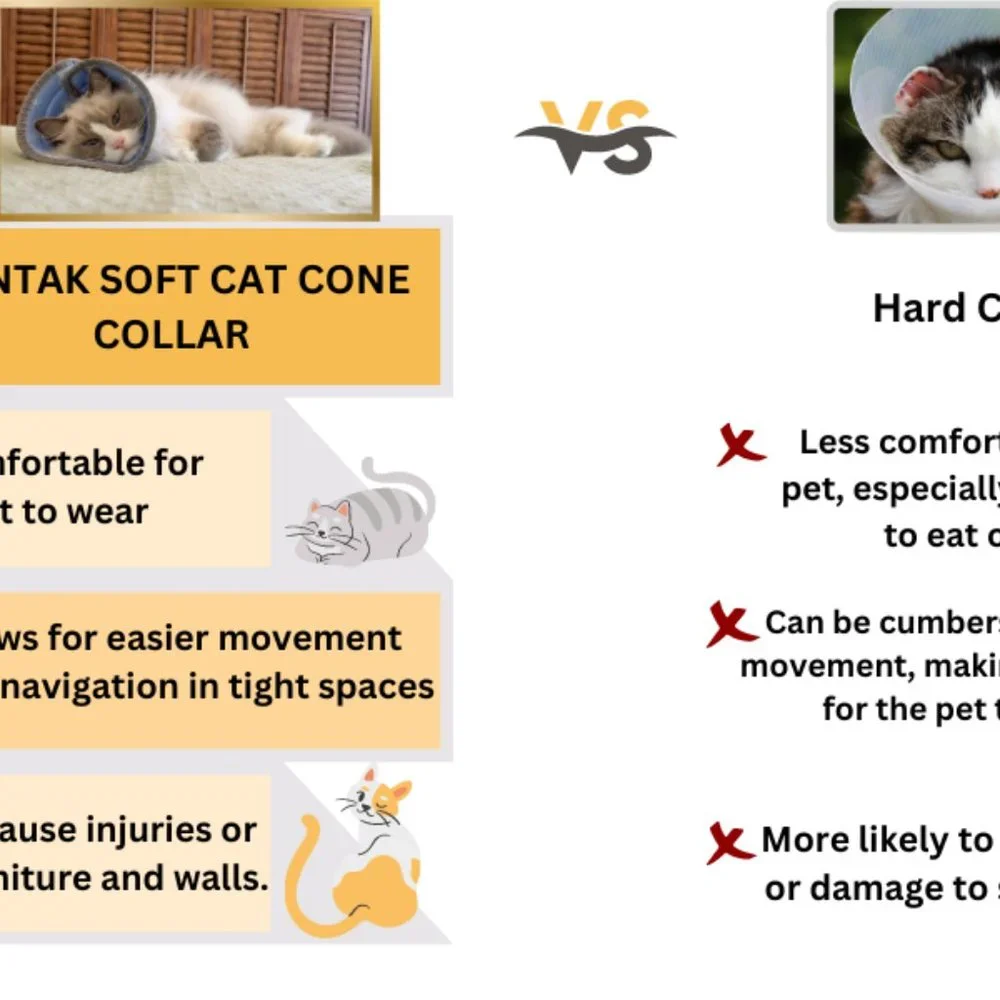 Soft Cat Cone Collar, for Small Kittens Young Cats, E Collar for Cats, cat cone